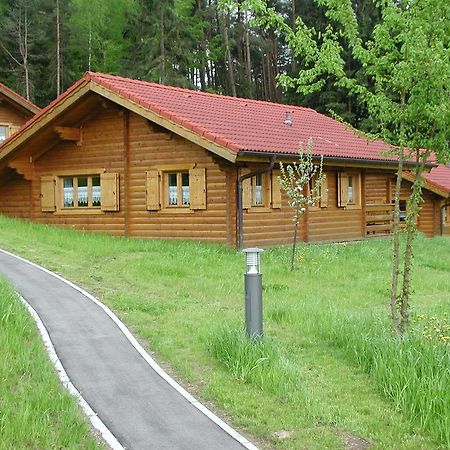 Blockhaus Bayerischer Wald Stamsried Exteriér fotografie
