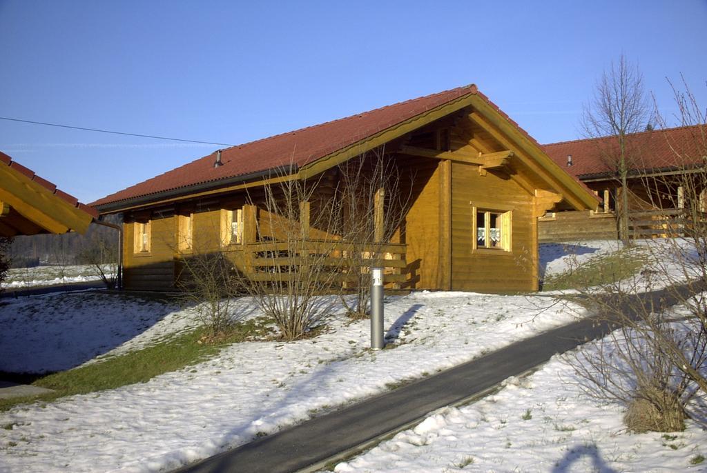 Blockhaus Bayerischer Wald Stamsried Exteriér fotografie